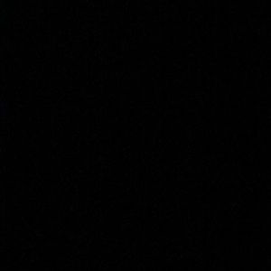 Meet your Posher, Angelica